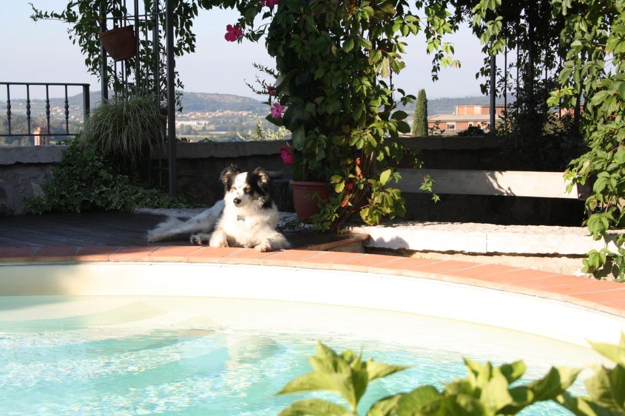 B&B Poggio Caiar Caprino Veronese Exteriér fotografie